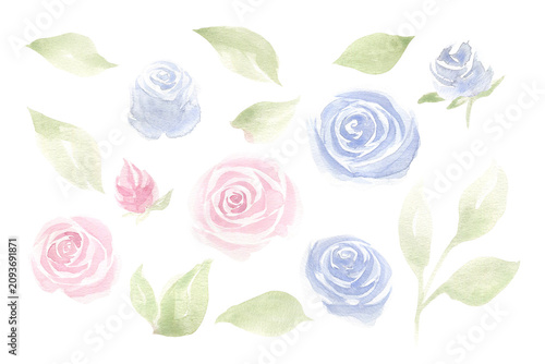 Delicate pink and blue roses and green leaves watercolor illustration set. Hand drawn clipart in pastel colors for wedding invitations, scrapbooking and feminine designs. Minimalist sketch flowers.