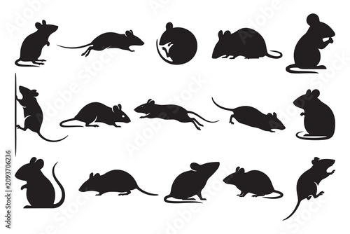 Фотография Field Mouse Silhouette Vector Set - Wild Rodent and Rat Clipart