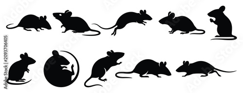 Konstfotografi House Mouse Silhouette Vector Set - Mus Musculus Rodent Clipart