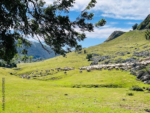 Принти на полотні Sierra de Aizkorri