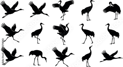 Obraz na płótnie Japanese woodblock style crane bird vector illustration with traditional red cro