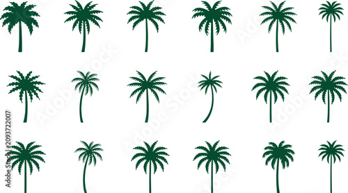 Collection of various dark green tropical palm tree silhouettes on transparent checkered background. Vector Illustration