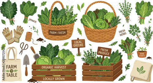 Photos Organic farm fresh produce harvest vector set featuring woven baskets wooden cra