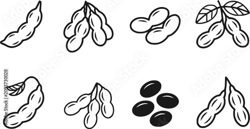 Obraz na płótnie さまざまな種類の豆類、豆、ピーナッツのセットを表す白黒線画のコレクション