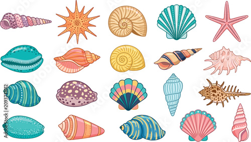 Schilderij op canvas Beautiful colorful sea shell and starfish vector collection set featuring various marine snail conch and scallop elements isolated on white background
