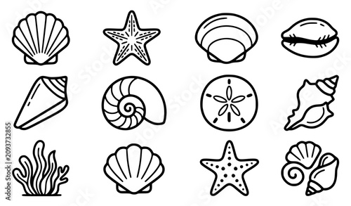 Generic sea shells and starfish collection vector icon set with simple bold line art classic complete unbranded scallop shell nautilus spiral marine life starfish texture and ocean coast clip art blac
