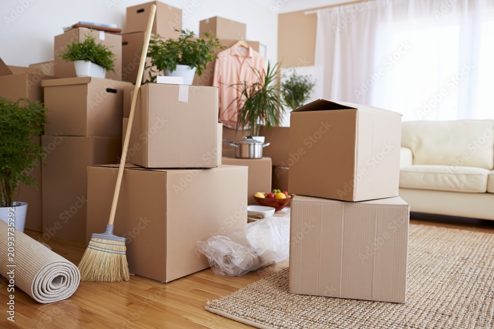 Fototapeta premium The Moving Boxes Filling a Bright, Cozy Living Room During Unpacking