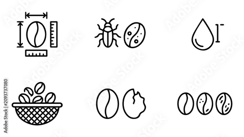 Coffee bean icons with measurement, pest, water drop, basket, and quality check, outline solid styles, UI and web interface design