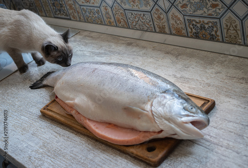 A curious Siamese cat sniffs a large fresh salmon on a cutting board in a home kitchen, creating a funny everyday scene with natural light.