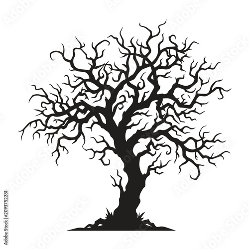Obraz na płótnie Spooky silhouette of a bare deciduous tree without leaves with silhouette