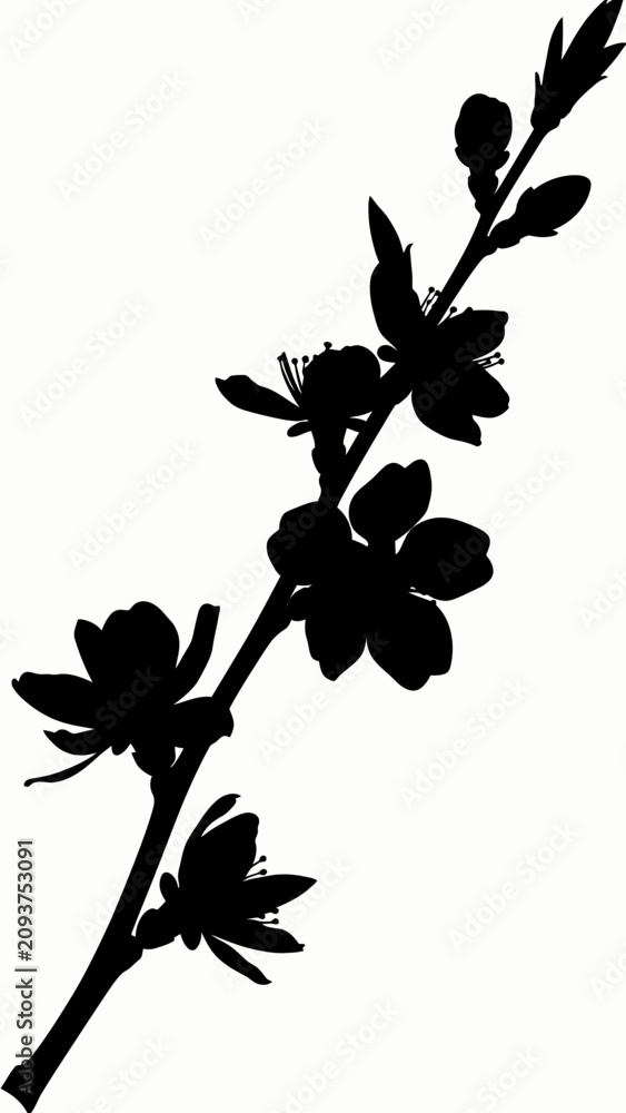 Fototapeta premium Silhouette of a flowering plant branch.