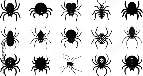 Schilderij op canvas Detailed spider species set vector icons for biology and halloween with arachnid