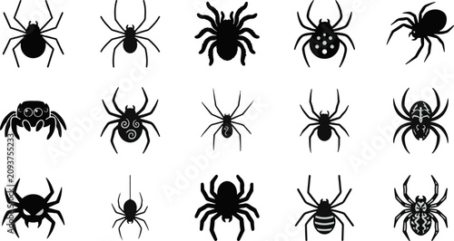 Canvastavla Collection of different spider shapes and icons with arachnid halloween wildlife