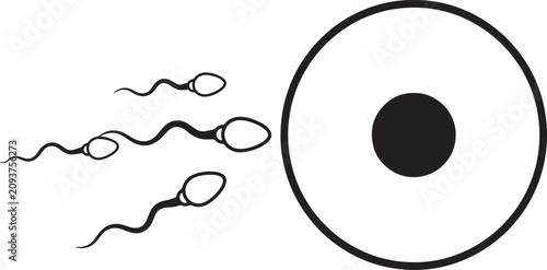 Cuadro en lienzo Black and white of three sperm cells swimming toward a large egg cell, minimalis