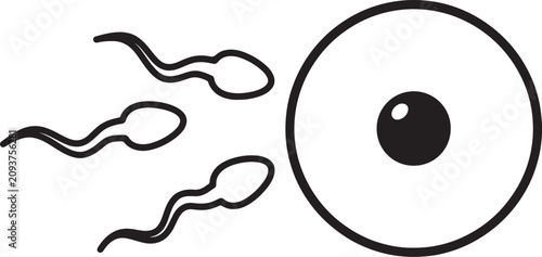 Foto Black and white line of three sperm cells swimming toward a large egg cell, mini