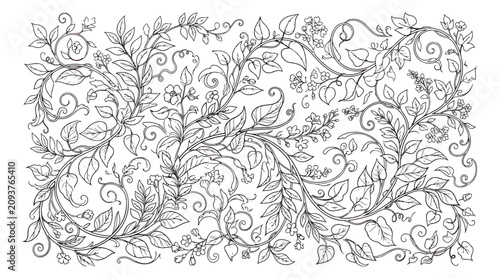 Intricate floral coloring page with swirling vines and leaves, hand drawn botanical line art vector, elegant garden pattern for adult relaxation