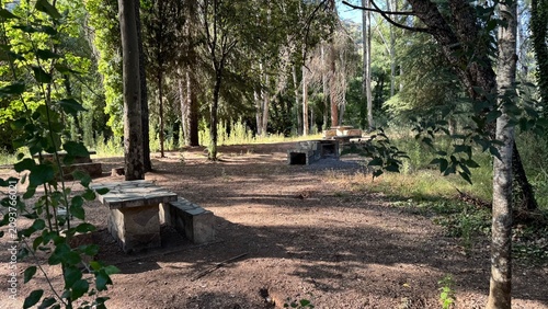 Scenic Dirt Path Winding Through Lush Green Forest Alongside Small River Stream