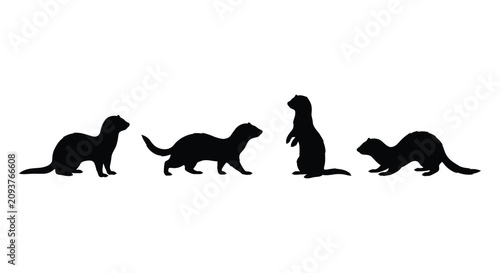 Photography Four Ferret Silhouettes In Various Poses Black And White Silhouette ferrets must
