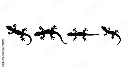Bild auf Leinwand Four lizard silhouettes in varying poses a black and white graphic silhouette