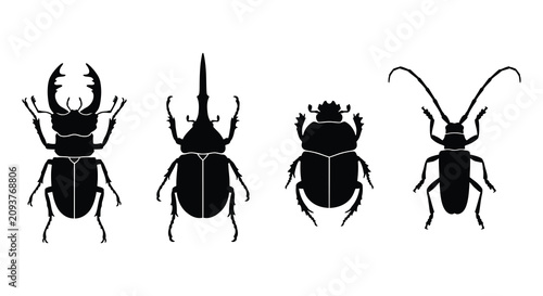 Four Beetle Silhouettes Against A White Background Insect Illustrations Silhouette beetles insects