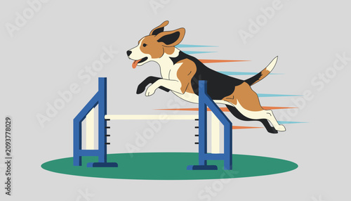 Energetic beagle dog jumping over a high agility hurdle during active outdoor training at a canine competition.