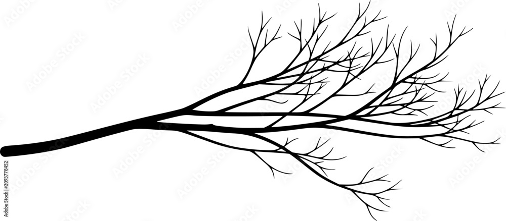 Fototapeta premium tree log on white background