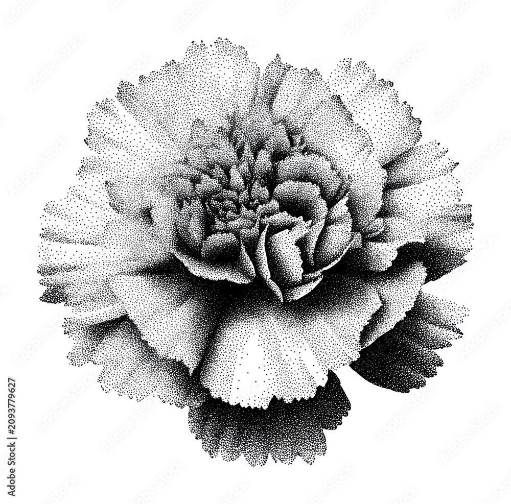 Obraz premium PNG Intricate black and white floral dotwork illustration