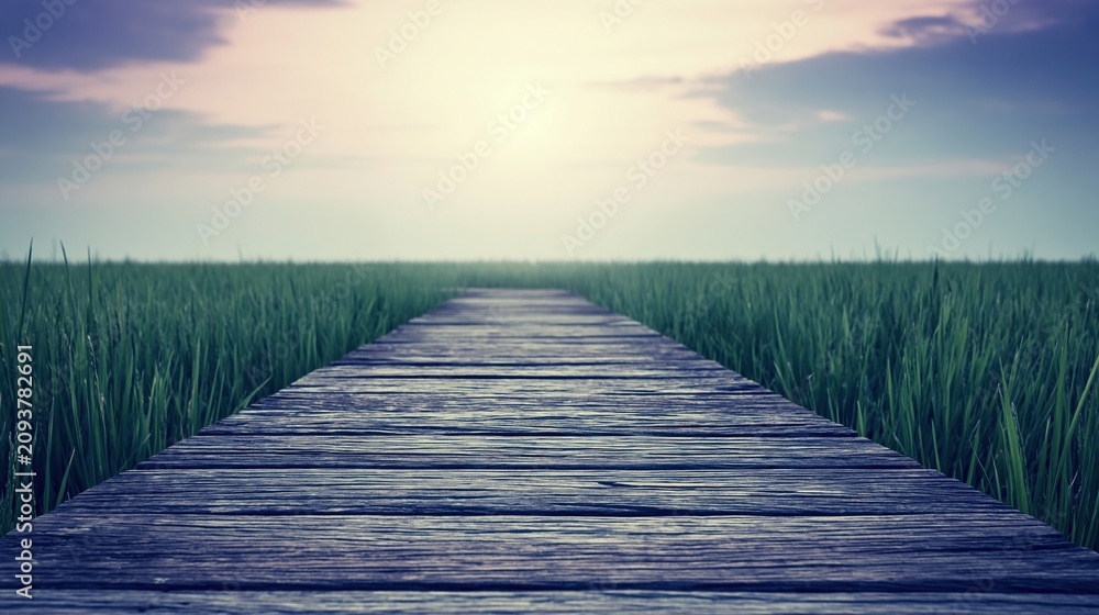 Obraz premium Wooden boardwalk leads into a vast green field under a soft, hazy sunrise sky