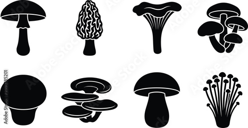 Bild auf Leinwand Collection of edible mushroom black silhouettes including chanterelle morel porc