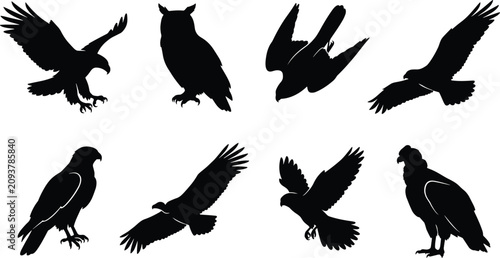 Fényképezés Collection of predatory bird silhouettes including eagles hawks and owls isolate