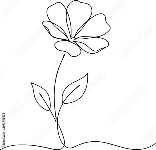 continuous line flower minimalist botanical vector illustration
