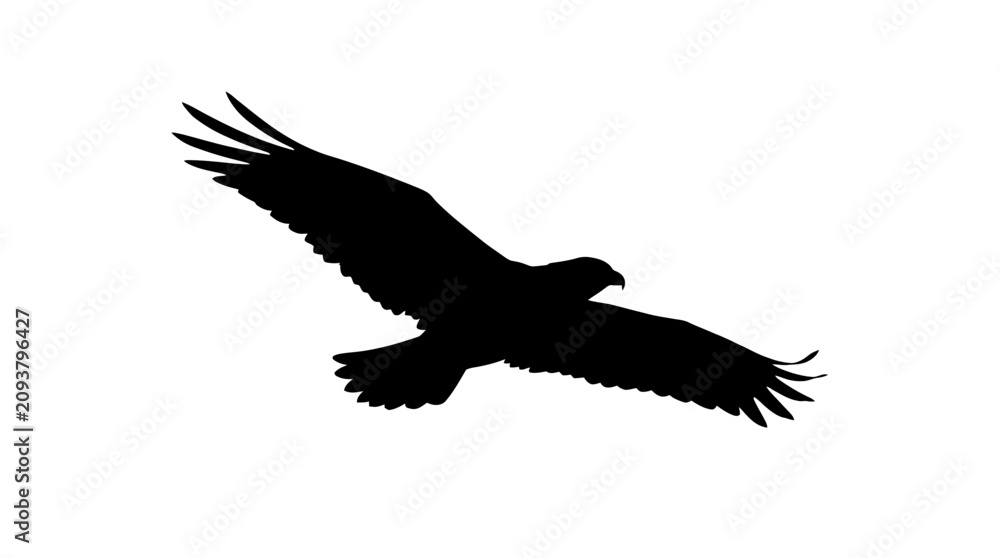 Fototapeta premium A Silhouette of Black eagle flying, bird silhouette, winged animal, wildlife icon isolated on Transparent Background EPS