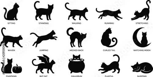 Black cat silhouette postures and actions