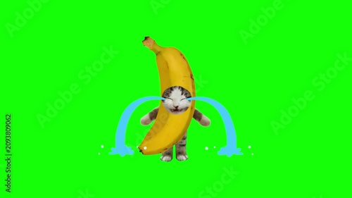Banana costume worn by a small tabby kitten creates a humorous scene where the cat appears to be weeping with large blue cartoon teardrops against a green background.