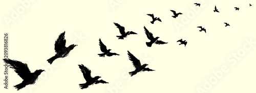 Flying bird silhouettes drawn with black charcoal and wax crayon texture, hand drawn flock soaring in the sky, freedom and nature graphic element vector illustration