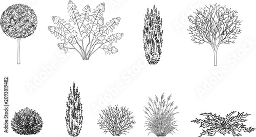 Canvastavla Architectural tree elevation symbols and shrub line sketch blocks for landscape