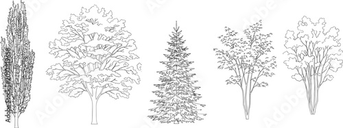 Photos Architectural tree elevation symbols set with various sketch vector line outline