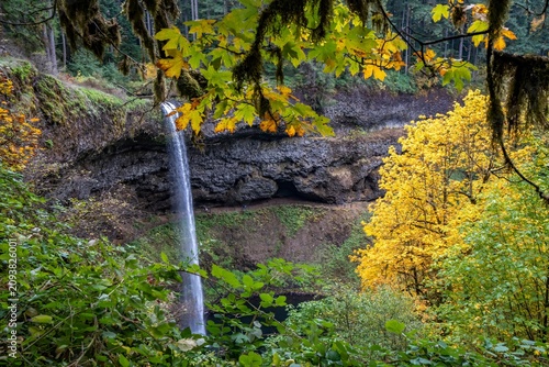 SOUTH FALLS SURROUNDED BY PEAK FALL COLOR AT SILVER FALLS STATE PARK NEAR SILVERTON OREGON