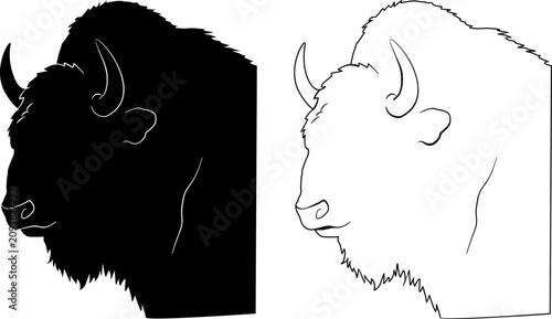 Foto bison head vector silhouette isolated on white background