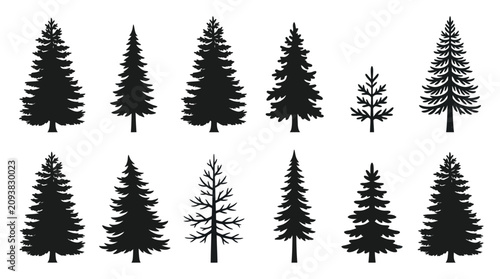 Bild auf Leinwand Collection of diverse evergreen tree silhouettes