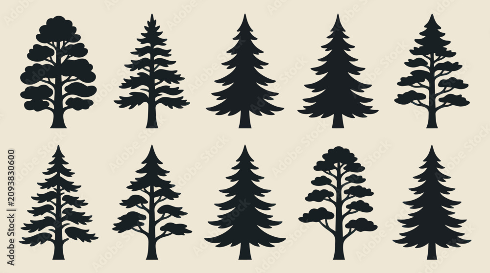Obraz premium Collection of evergreen tree silhouettes