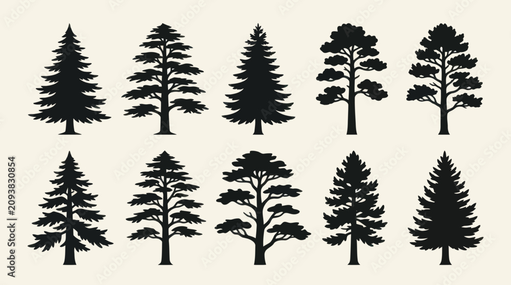 Obraz premium Collection of evergreen tree silhouettes