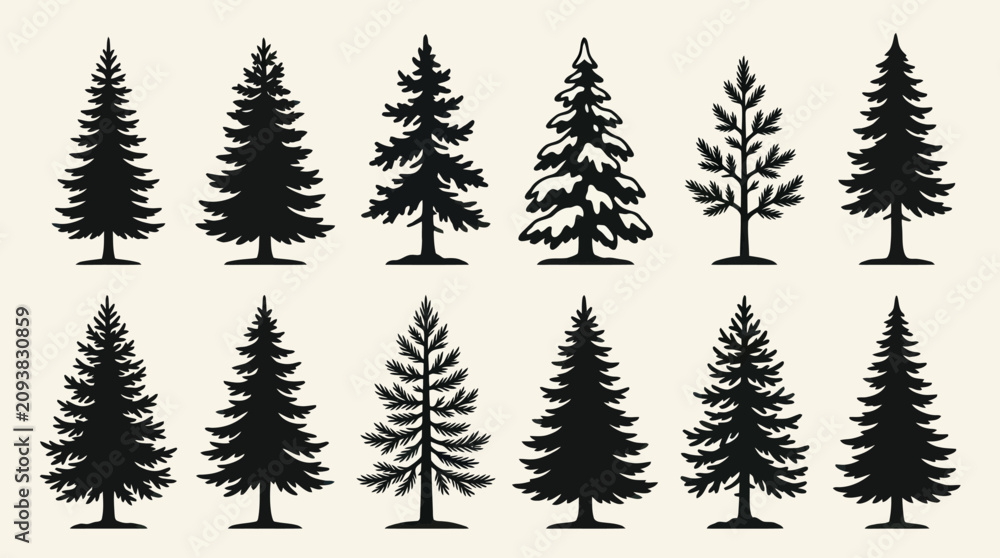 Fototapeta premium Collection of evergreen tree silhouettes