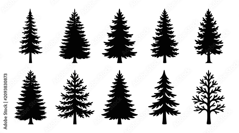 Fototapeta premium Collection of evergreen tree silhouettes