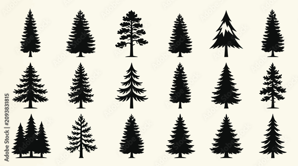 Fototapeta premium Collection of evergreen tree silhouettes