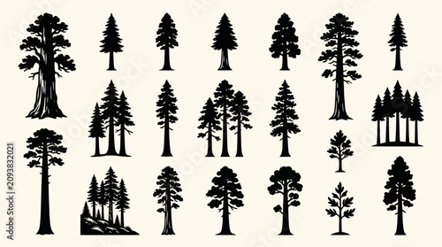 Collection of pine and evergreen tree silhouettes