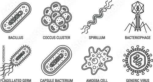 Photos Microbiology and biology science line icon set featuring bacillus coccus spirill