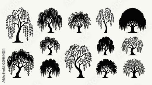 Bild auf Leinwand Collection of willow tree silhouettes