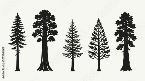 Tableau sur toile Diverse evergreen tree silhouettes collection