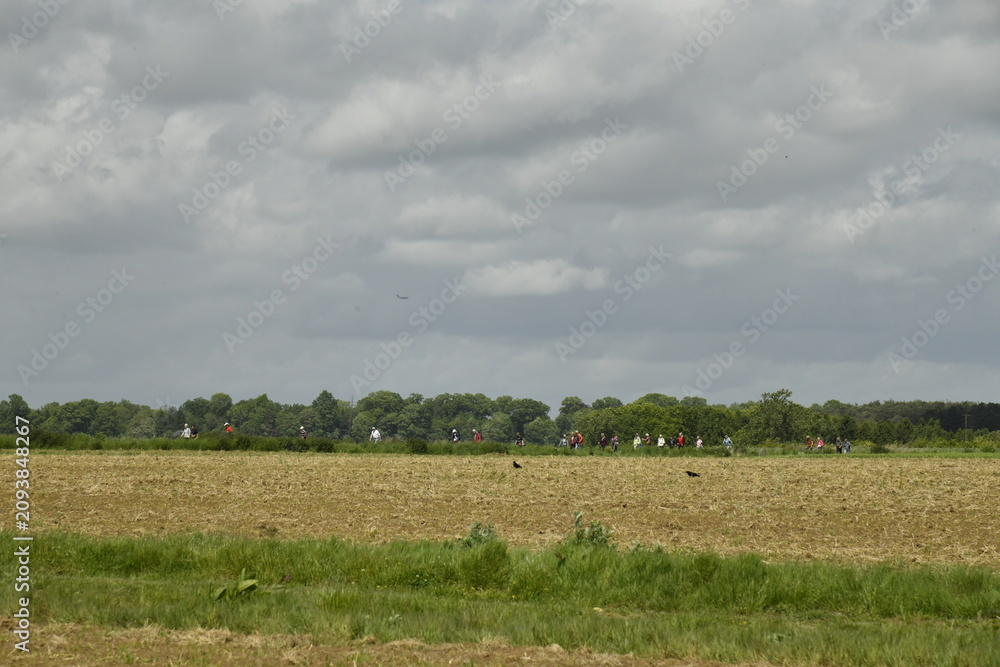 Fototapeta premium Champ à peine semé au printemps sous des cumulus de beau temps à Genappe (Nivelles)